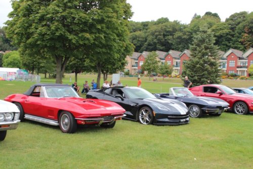 Corvettes new and old, lined up at the Classic Car Show during HarborFest
